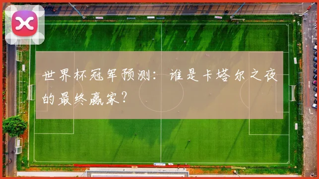 世界杯冠军预测：谁是卡塔尔之夜的最终赢家？