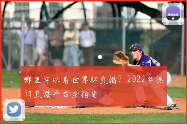 哪里可以看世界杯直播？2022年热门直播平台全指南