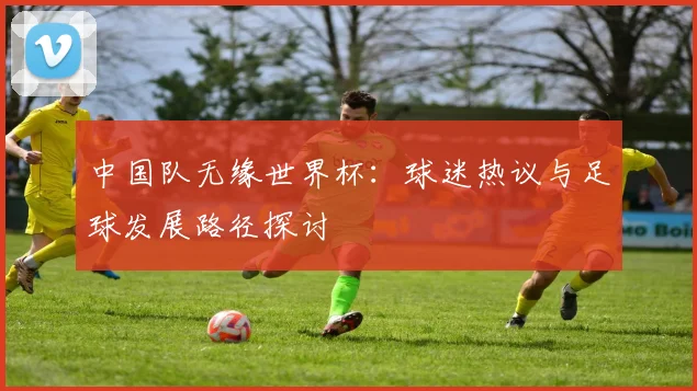 中国队无缘世界杯:球迷热议与足球发展路径探讨