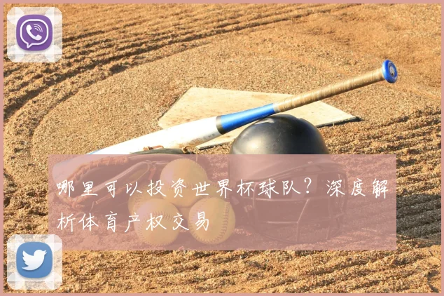 哪里可以投资世界杯球队？深度解析体育产权交易