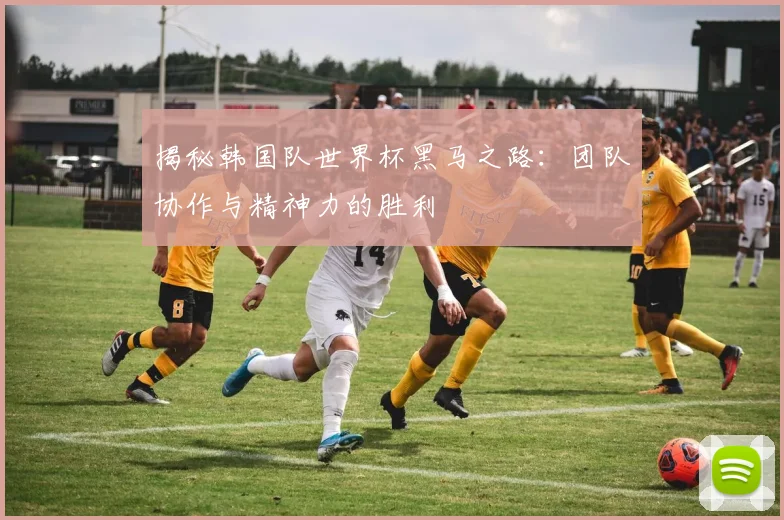 揭秘韩国队世界杯黑马之路：团队协作与精神力的胜利