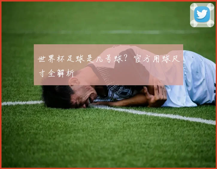 世界杯足球是几号球？官方用球尺寸全解析