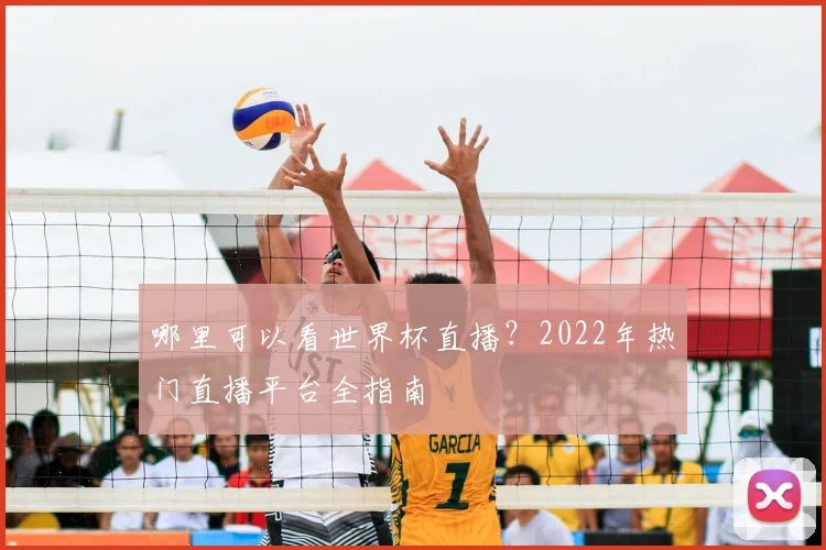 哪里可以看世界杯直播？2022年热门直播平台全指南