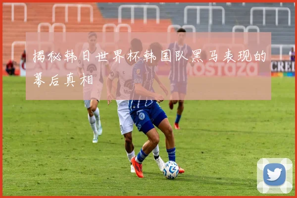 揭秘韩日世界杯韩国队黑马表现的幕后真相