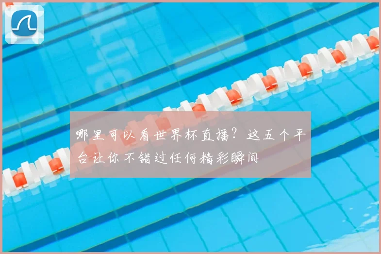 哪里可以看世界杯直播？这五个平台让你不错过任何精彩瞬间