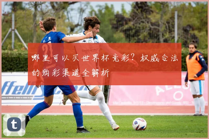 哪里可以买世界杯竞彩？权威合法的购彩渠道全解析
