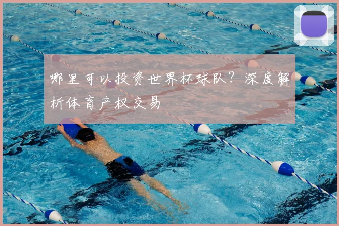 哪里可以投资世界杯球队？深度解析体育产权交易