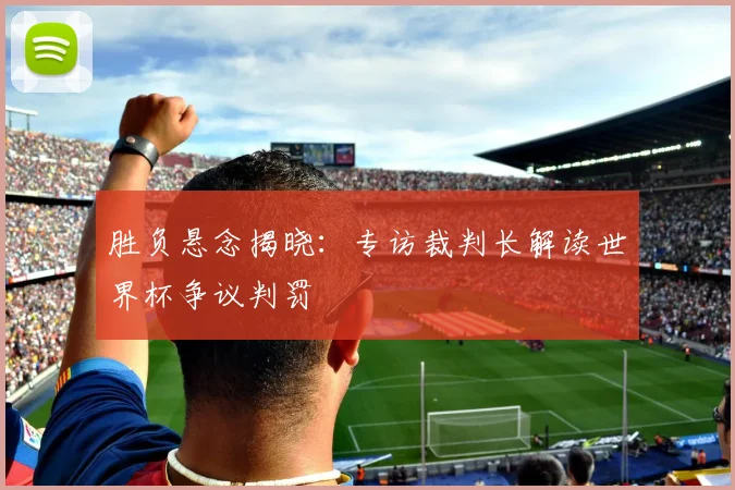 胜负悬念揭晓：专访裁判长解读世界杯争议判罚